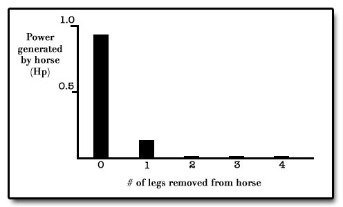 The Importance of Legs